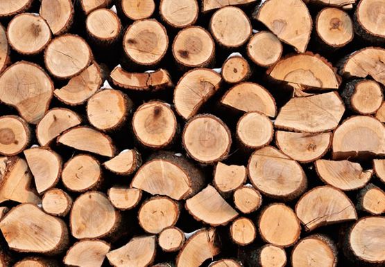 Tacom Jaén troncos de madera